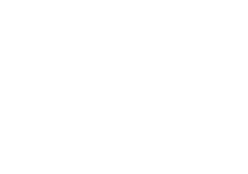 Logo_Faerberei_Holtmann_schrift_350_white